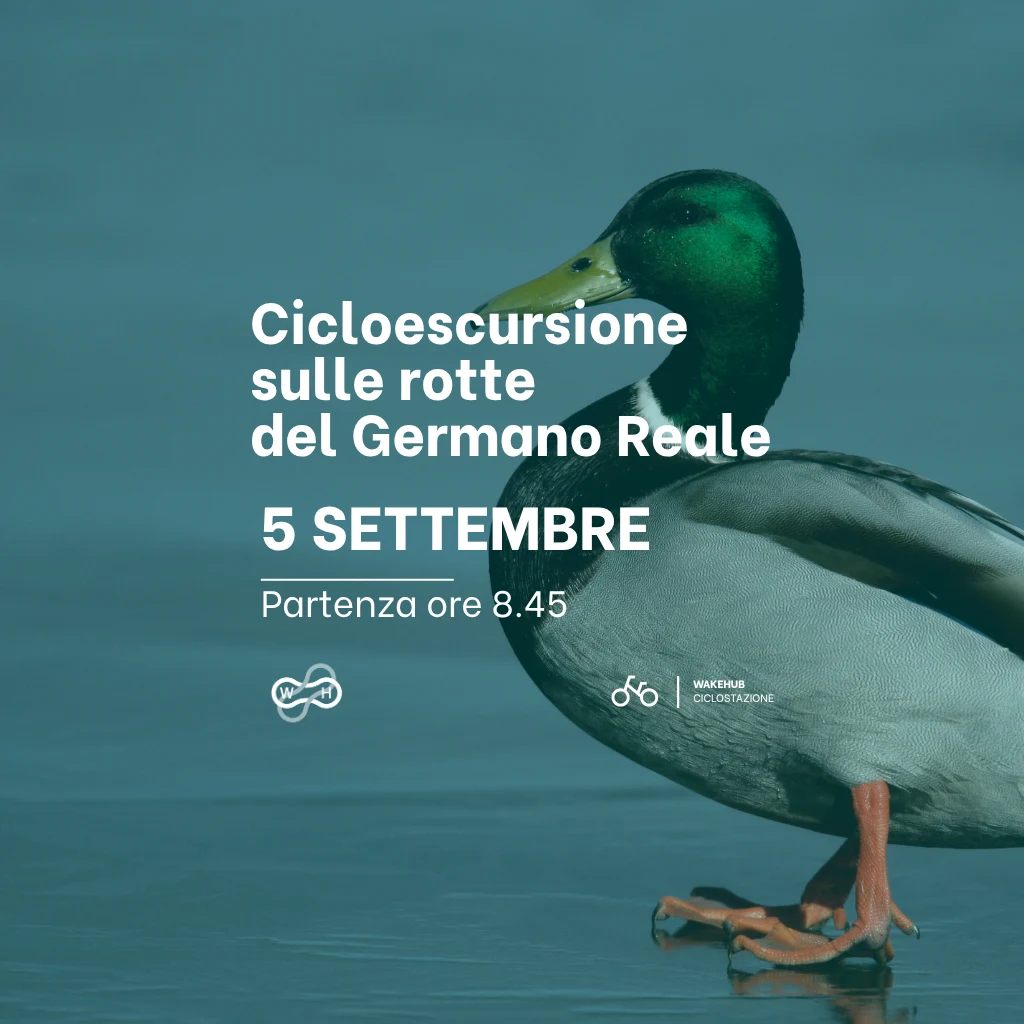 Copia di News (1024 x 1024 px) (10)
